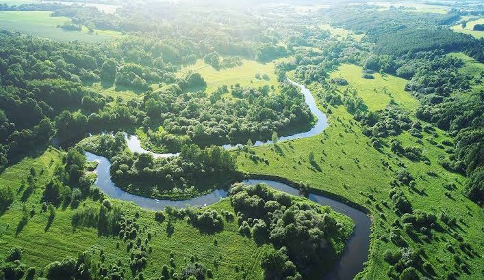 La problemática ambiental